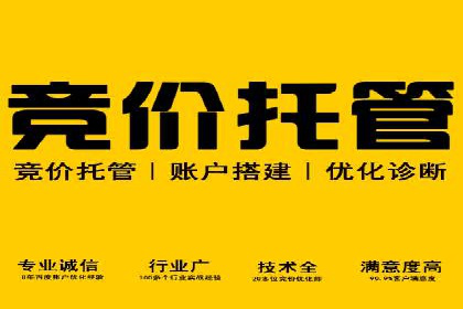 SEM托管公司案例分析：优化预算分配